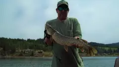 Pike