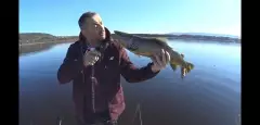 3.5kg 72cm
