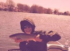 Rainbow Trout on the Henrys Fork