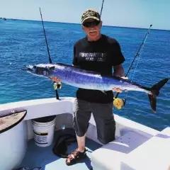 Wahoo