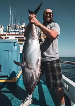 Bluefin tuna