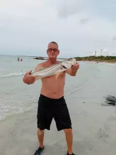 Small Snook