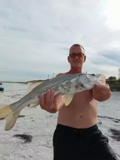 Medium Snook