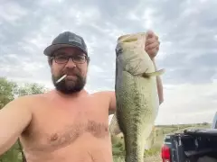 Nice ditch pickle