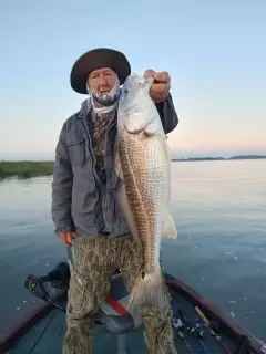 RED DRUM