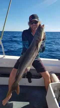 12kg Cobia