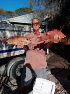 Lane snapper and hogfish