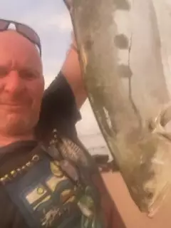 Queen Fish