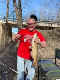 Catfish