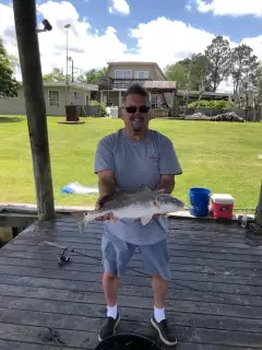 Reds on da bayou