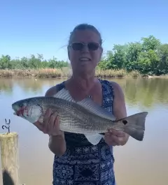 9 legal size Redfish & 1 Speckled trout