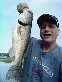 3 lb largemouth bass caught in Hammond Indiana. June 12th 2022