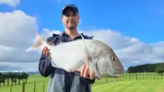 63cm Westcoast snapper