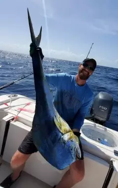 Mahi Mahi