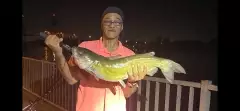 17lb Channel Catfish