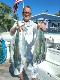 Spanish mackerel
