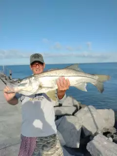 Snook