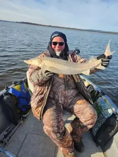 Sturgeon