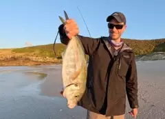 Surf fishing catch: Trevally