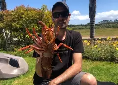 Nice Crayfish/Lobster for Dinner