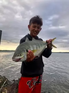 Trevally off the rock