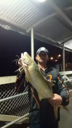 Threadfin salmon