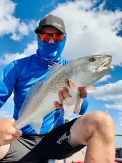 Redfish on a cold day in Chokoloskee island