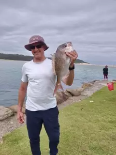 Snapper