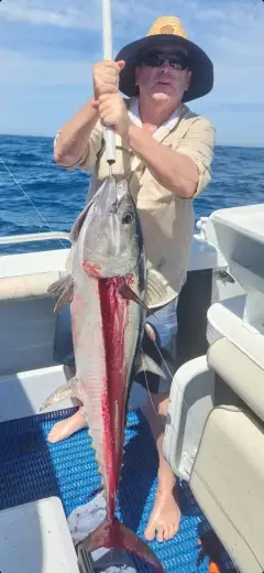 Northern Bluefin Tuna