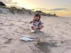 Snapper and Stingray by Drone Fishing