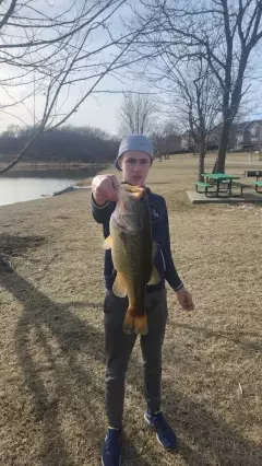 Giant largemouth for Missouri right now. 3.90 on scale. caught with a ned rig.( trailer is a rage craw from strike king )
