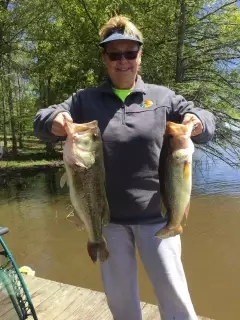 Couple of bass