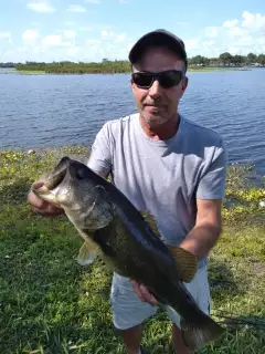 7lb largemouth bass, lake osborne, Fl.