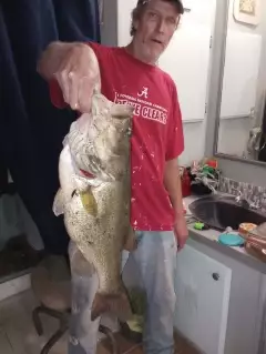 Large mouth