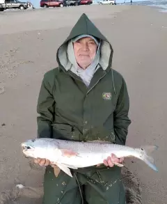 33" Red Drum