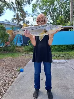 34" Snook Caloosahatche River in FL