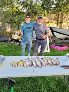 Pickerel and perch