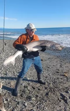 Angry Seven Gill Shark