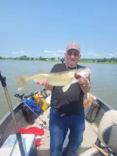 Walleye