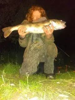 Monster walleye