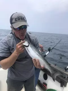 Loving that salmon!!
