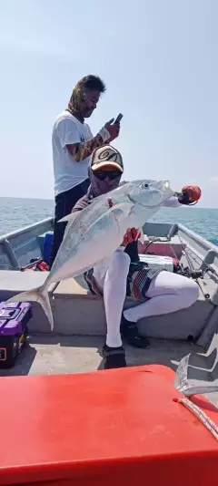 Bludger trevally open sea