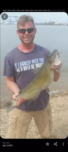Catfish