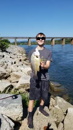 4 pound drum