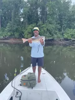 Red fish