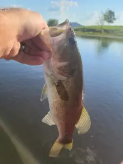 Private pond