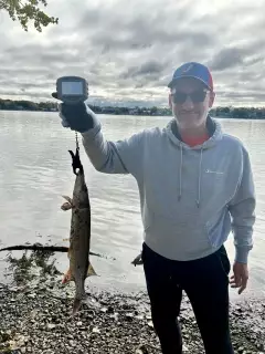Pike and Muskies are hitting this time of year