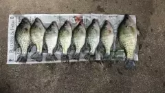 Good Day @ Lake Conway, May Flower, AR
