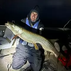 Muskullunge