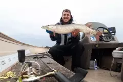 Muskullunge